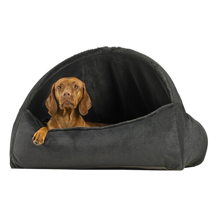 Dog covered outlet bed